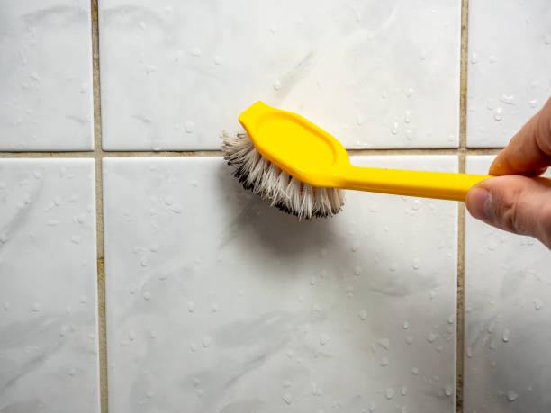Reliable Beaumont, TX Mold Remediation Solutions