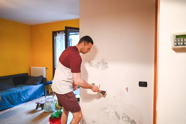 Best Post-Remediation Services in Beaumont, TX